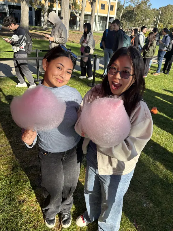 Fairy Floss Machine